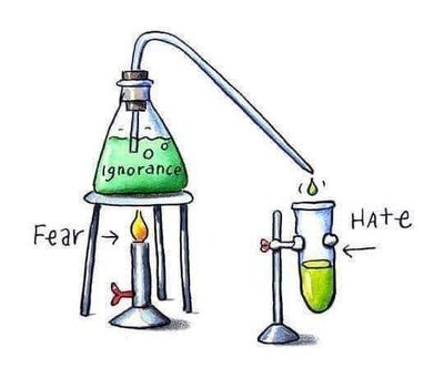 Bruce d. Foto do Perfil